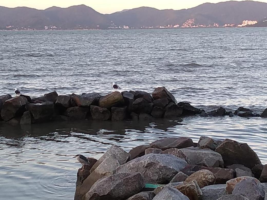 Hostel Nossa Casa Florianópolis Kültér fotó