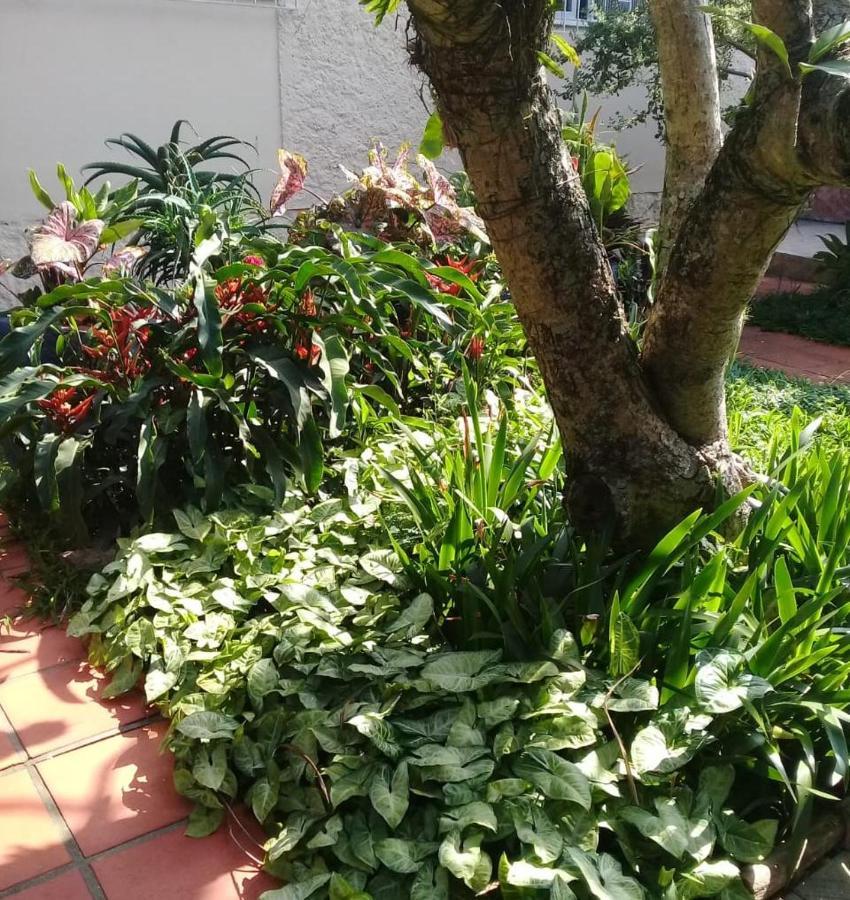 Hostel Nossa Casa Florianópolis Kültér fotó